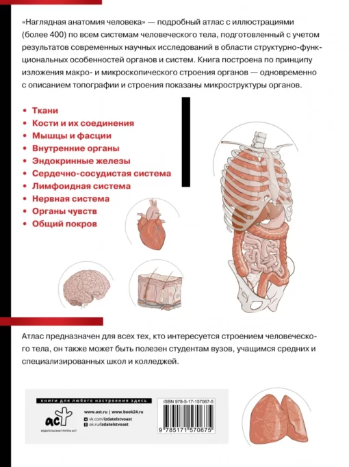 Наглядная анатомия человека. Подробный атлас с иллюстрациями