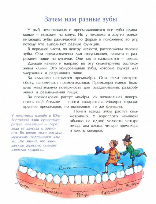 Dental book