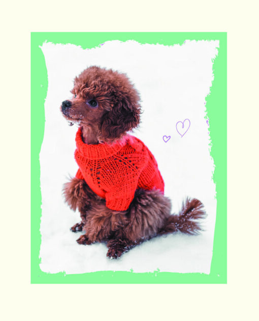 Beautiful clothes for dogs. Fluffy trends for any breed. Knitting on knitting needles