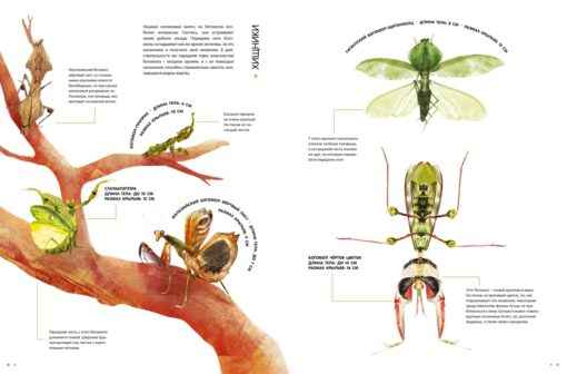 Life size insects