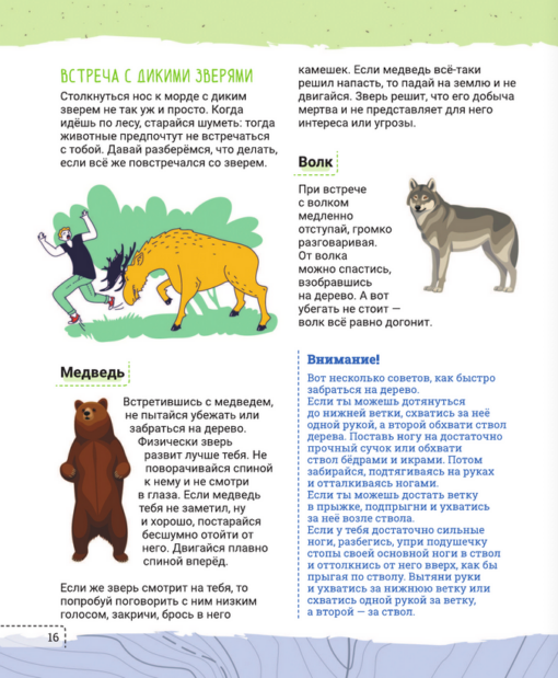 How to survive anything! Bear attack and other dangerous situations: lightning, snow storm