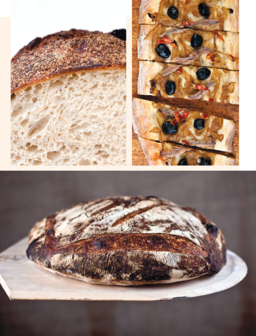 Flour, water, salt, yeast. Impeccable pizza and artisan bread at your home