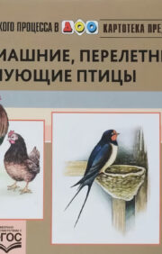 Card index of subject pictures. Issue 9. Domestic, migratory, wintering birds. 3-7 years
