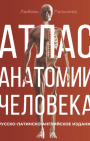 Cilvēka anatomijas atlants. Krievu-latīņu-angļu izdevums