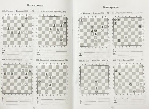 Шахматный решебник. Книга E. Сборник задач и комбинаций