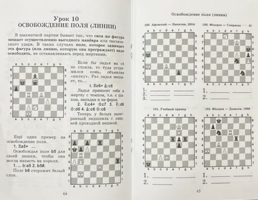 Шахматный решебник. Книга E. Сборник задач и комбинаций