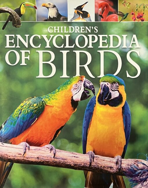 Children's  Enciclopedia of Birds