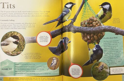 Children's  Enciclopedia of Birds