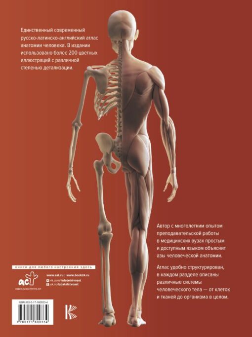 Атлас  анатомии человека. Русско-латинско-английское издание