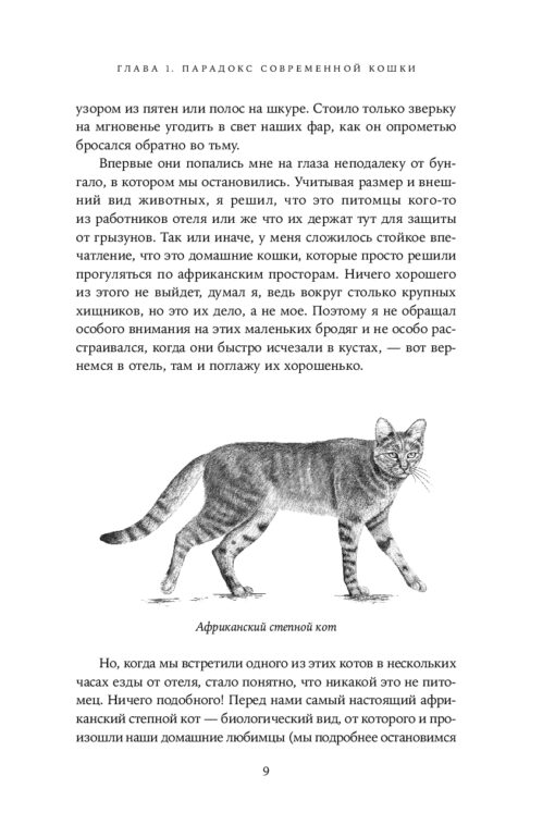 От саванны  до дивана: Эволюционная история кошек