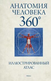 Анатомия человека  360°. Иллюстрированный атлас