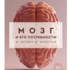 Мозг и его  потребности 2.0. От питания до признания