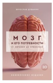 The brain and its needs 2.0. From nutrition to recognition