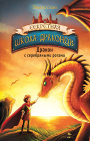 Секретная  школа драконов. Книга 2. Дракон с серебряными рогами
